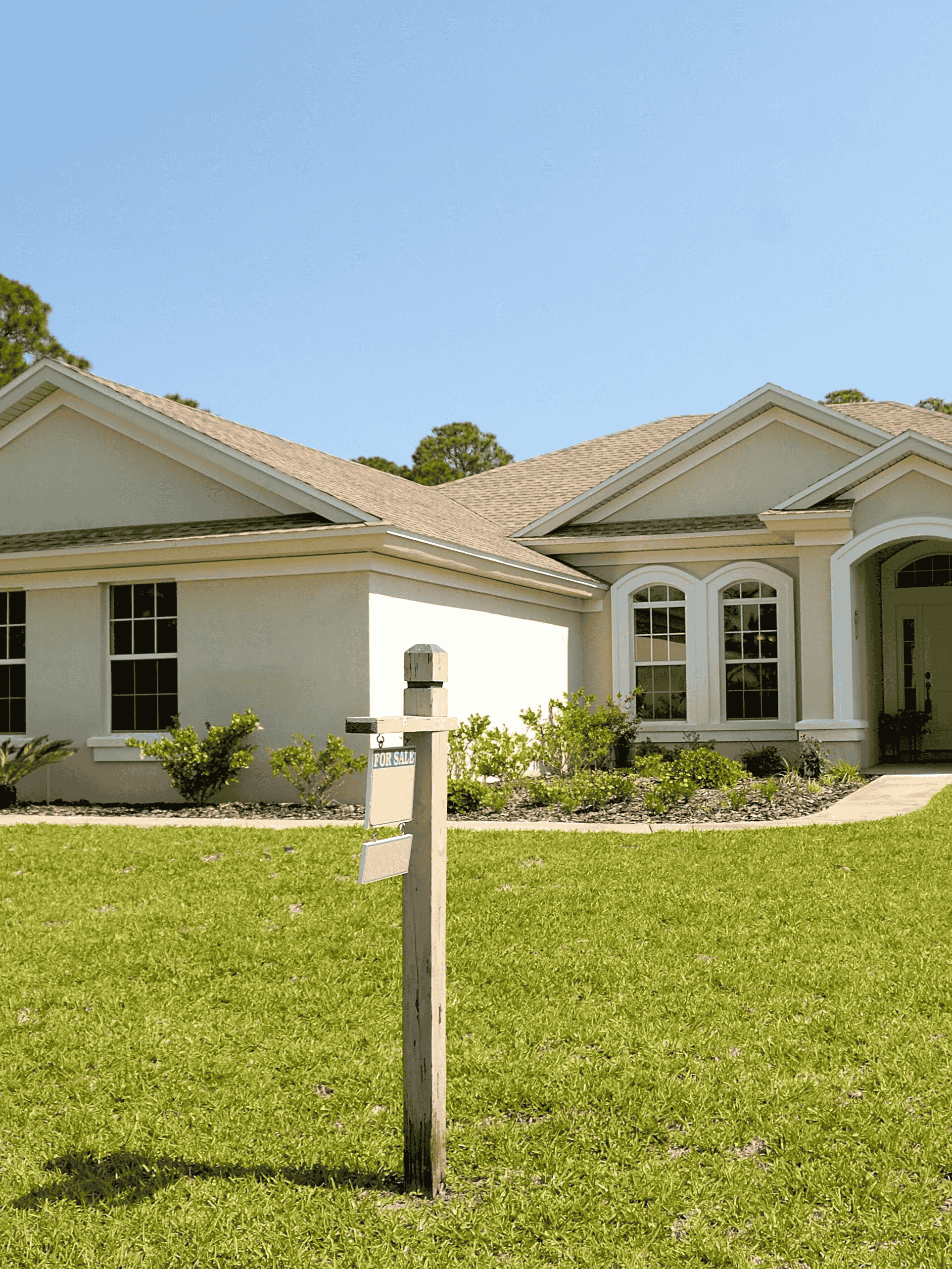 home-img